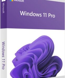 Microsoft Windows 11 Professional Edition